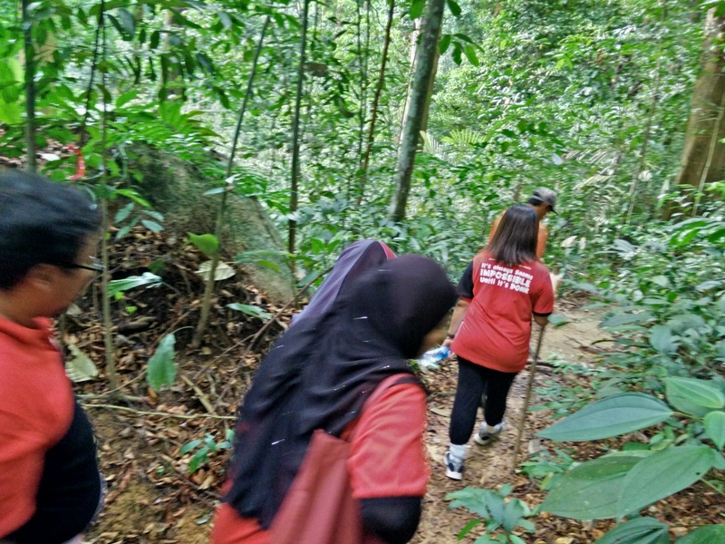 0992 IMG20151107151200